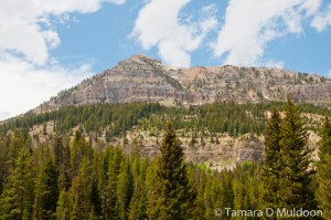 Rugged Rocky Mountains